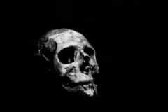a black and white photo of a human skull