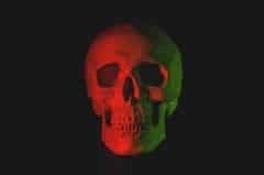 skull head bust with LED light
