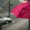 pink umbrella